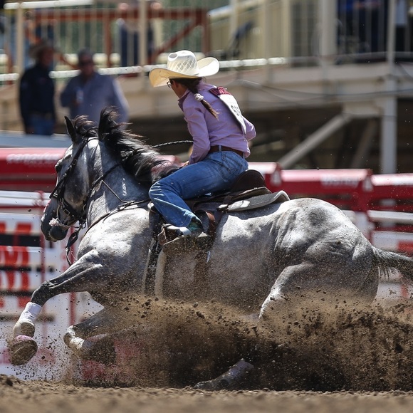 Meet your Posher, Nancy - Picture 1 of 1